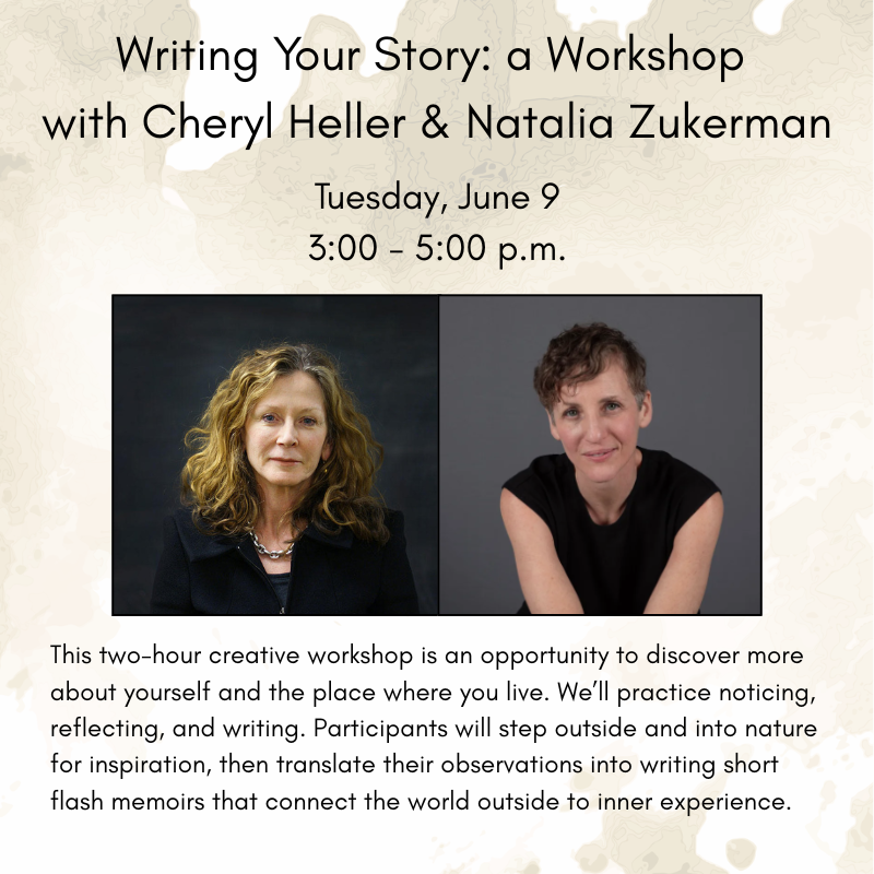 Writing your story workshop June 2026 (800 x 800 px)