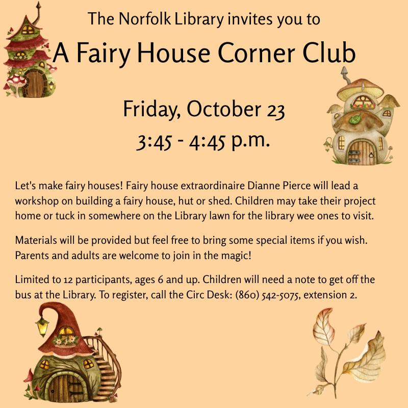 Fairy house program poster (800 x 800 px)